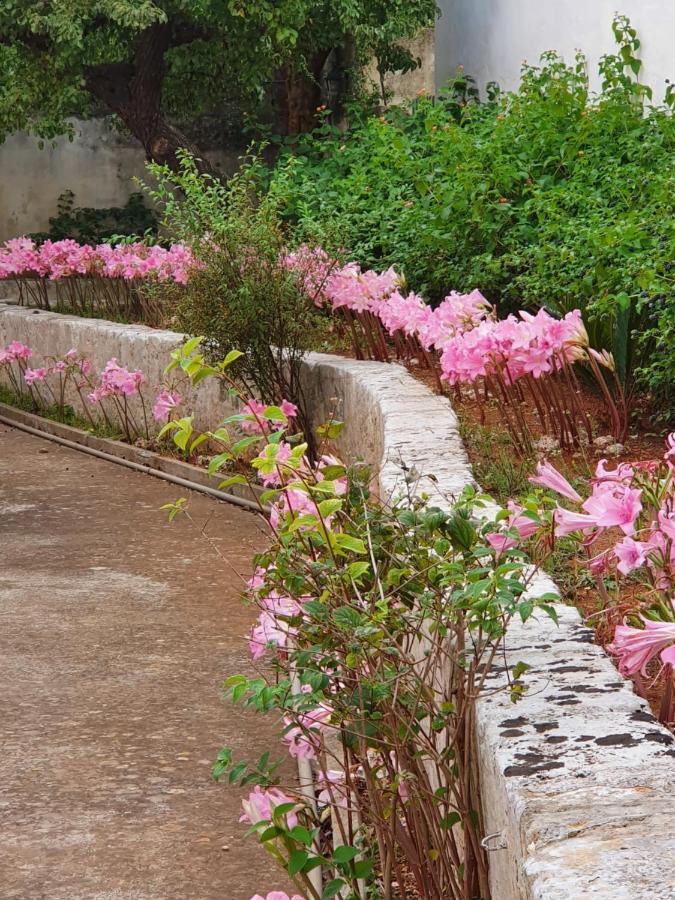 Villa Nel Salento - Ampie Camere E Giardino, Fino A 9 Persone Barbarano del Capo Exteriör bild